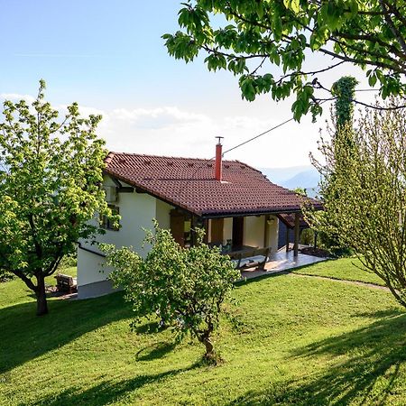 Vineyard Cottage Klemencic Novo Mesto Kültér fotó