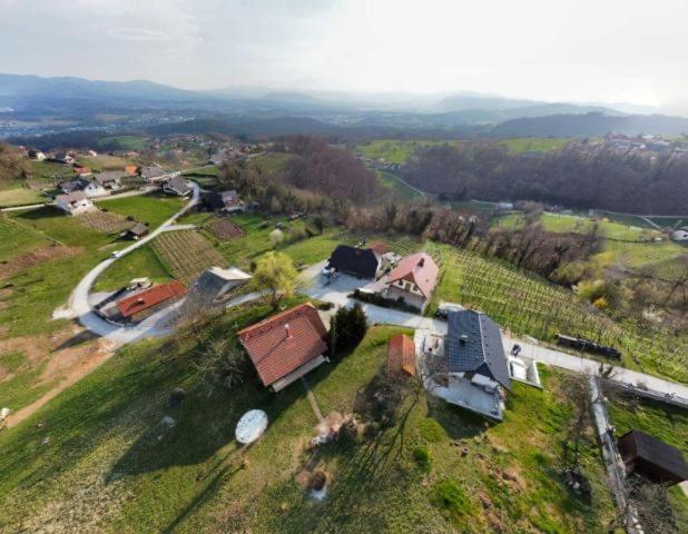 Vineyard Cottage Klemencic Novo Mesto Kültér fotó