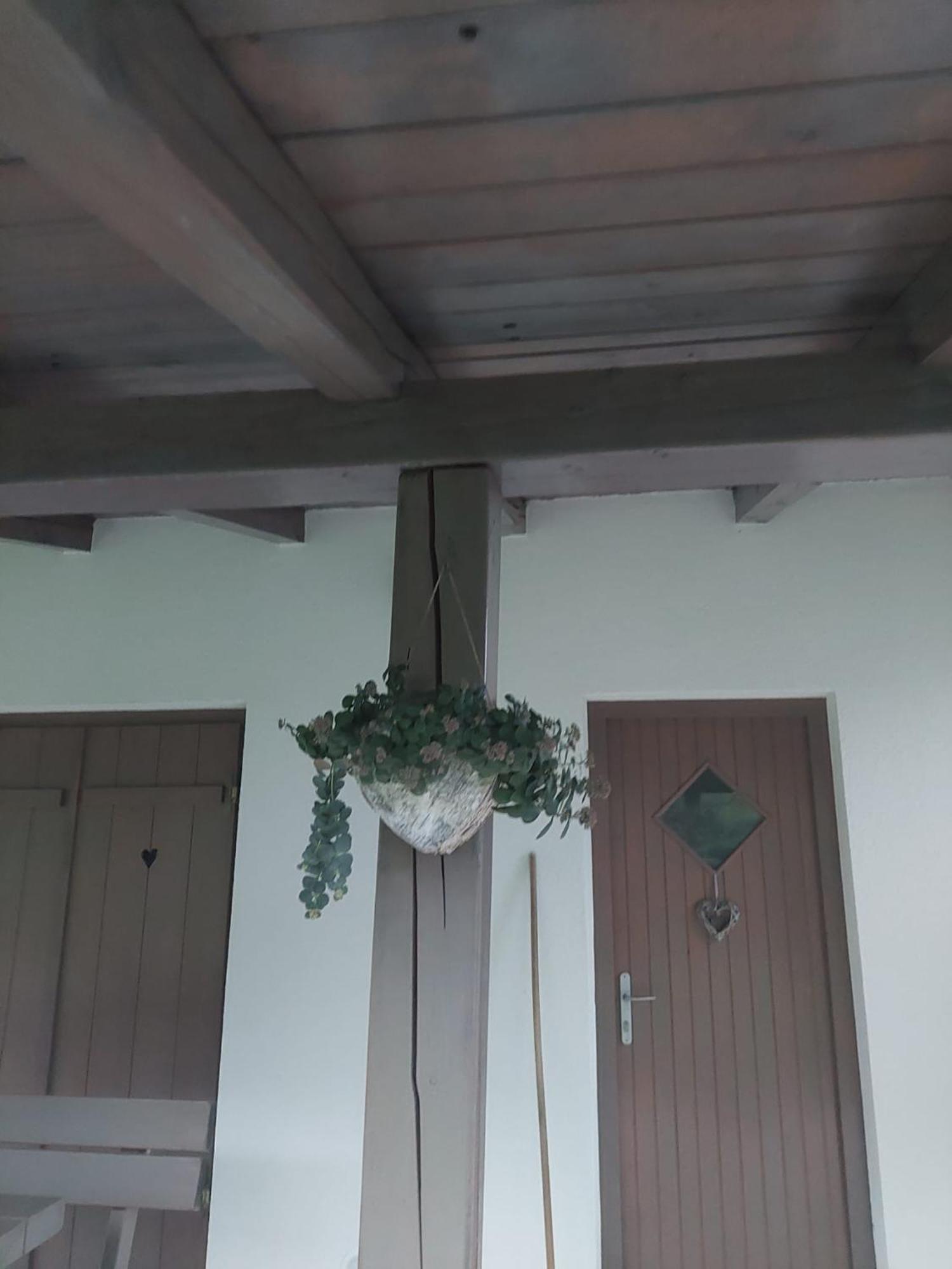 Vineyard Cottage Klemencic Novo Mesto Kültér fotó
