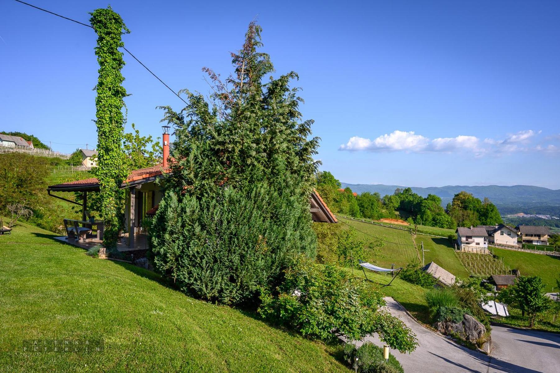 Vineyard Cottage Klemencic Novo Mesto Kültér fotó
