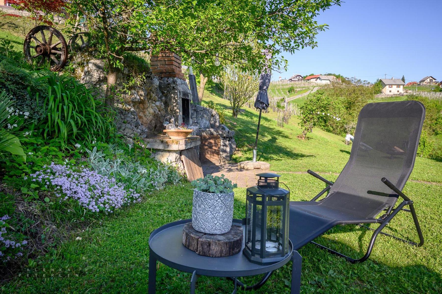 Vineyard Cottage Klemencic Novo Mesto Kültér fotó