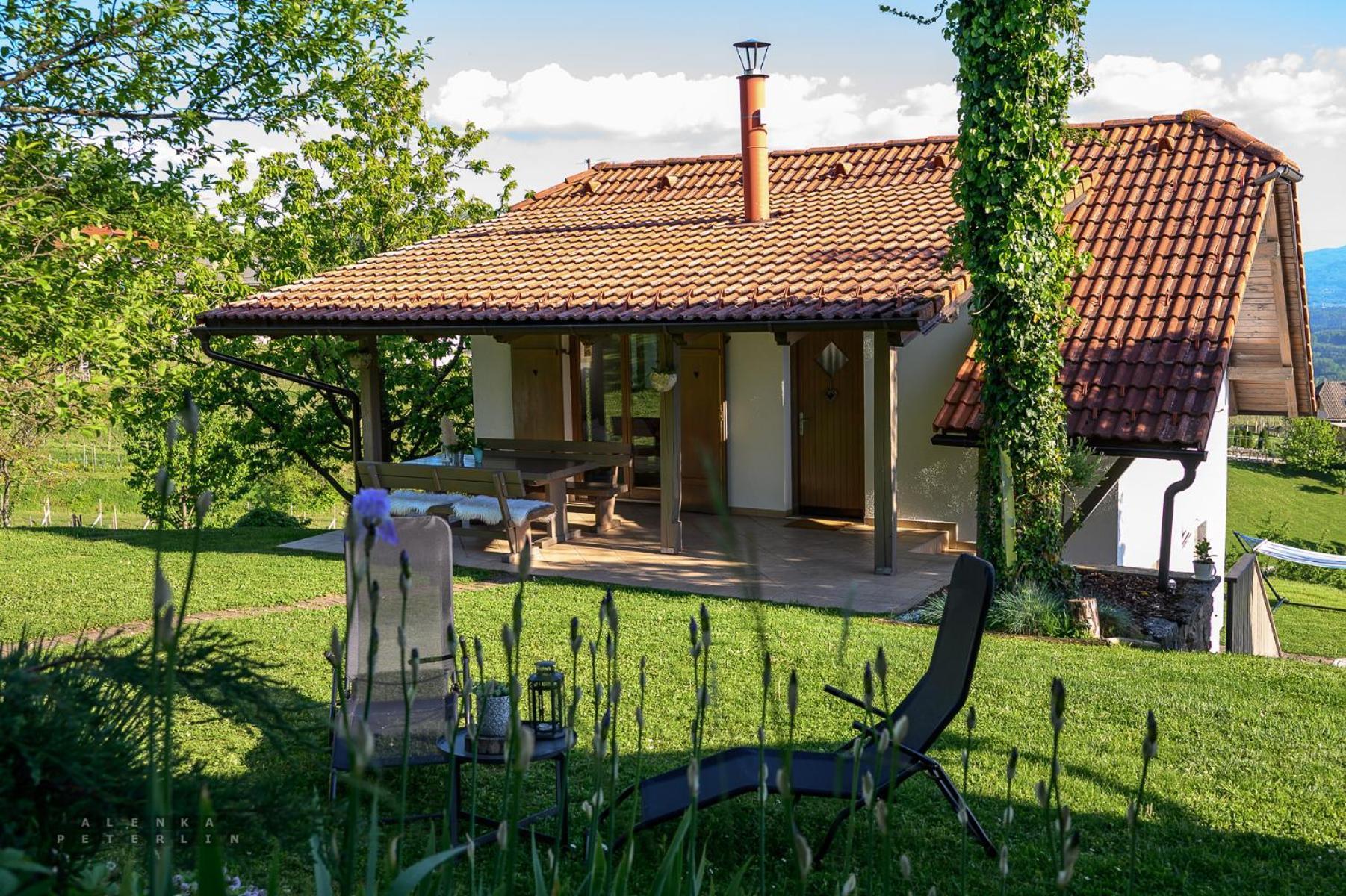 Vineyard Cottage Klemencic Novo Mesto Kültér fotó