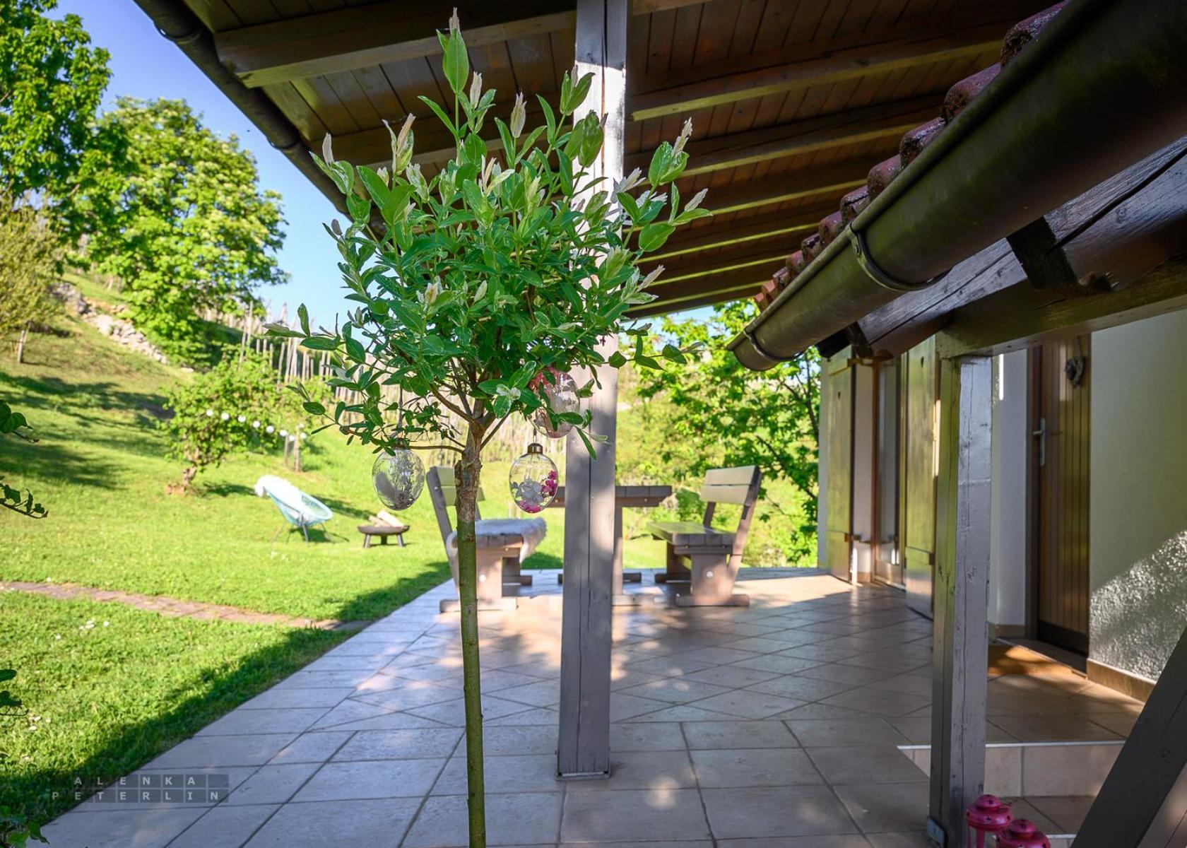 Vineyard Cottage Klemencic Novo Mesto Kültér fotó